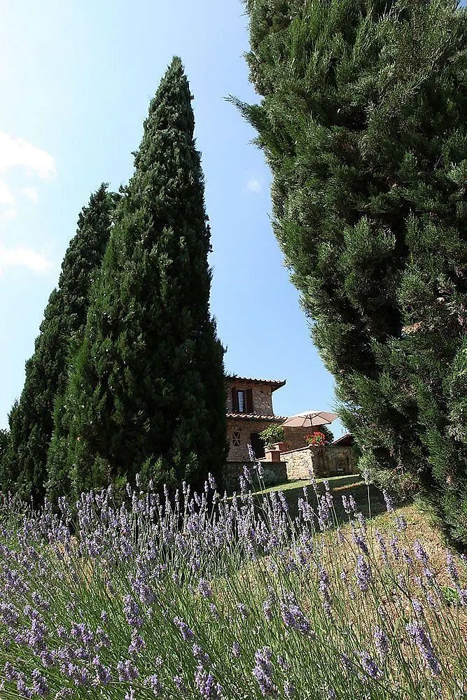 Agriturismo Casanova Di Pescille San Gimignano Séjour à la ferme