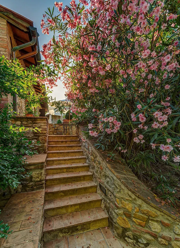 Séjour à la ferme Agriturismo Casanova Di Pescille San Gimignano